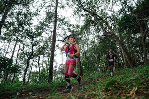 BIB: 
                            <button type="button" onclick="openModal(22516028)" class="btn btn-primary btn-sm float-right btn-popup" data-toggle="modal" data-target=".modal-high-quality">
                        <i class="fas fa-shopping-cart"></i> Add to Cart
                    </button>
                                            <button type="button" onclick="isThisMe(22516028, true)" class="btn btn-success btn-sm float-right btn-popup btn-isme hidden" data-toggle="tooltip" data-placement="bottom" title="นี่คือรูปของคุณใช่ไหม คลิกที่นี่เพื่อเอาเข้าอัลบั้ม">
                        <i class="fas fa-plus"></i> Add to album
                    </button>
                    <button type="button" onclick="isThisMe(22516028, false)" class="btn btn-warning btn-sm float-right btn-popup btn-isnotme hidden">
                        <i class="fas fa-ban"></i> Remove from album
                    </button>